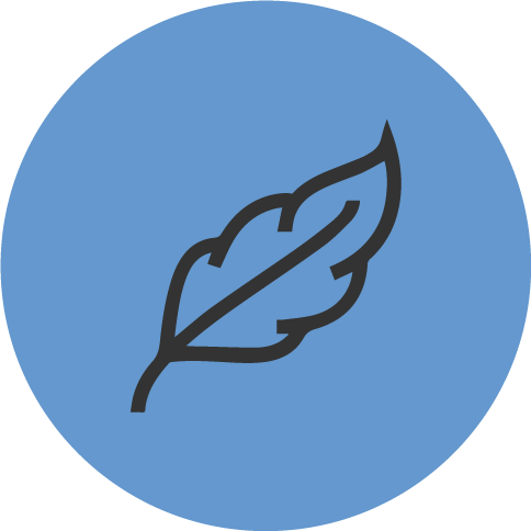 Fibra-Ergotesx-2